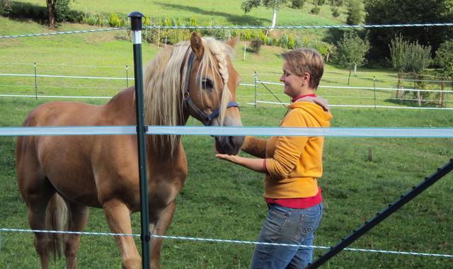 Michaela mit Haflinger "Amalord" | Foto: Barbara Stückler-Magg
