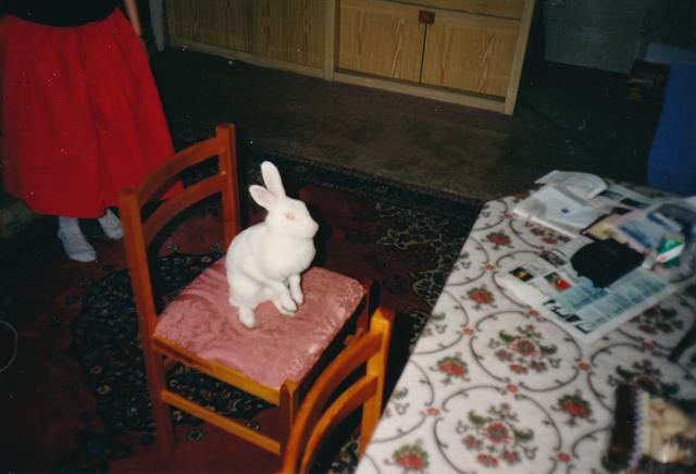 Hase Schnuffi wartet aufs Mittagessen | Foto: Familie Wolfgang