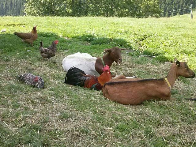 Foto: Cilli Fruhmann