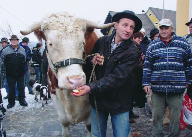 Haustiersegnung in St. Ulrich im Greith zu Maria Lichtmess | Foto: Johann Lampl