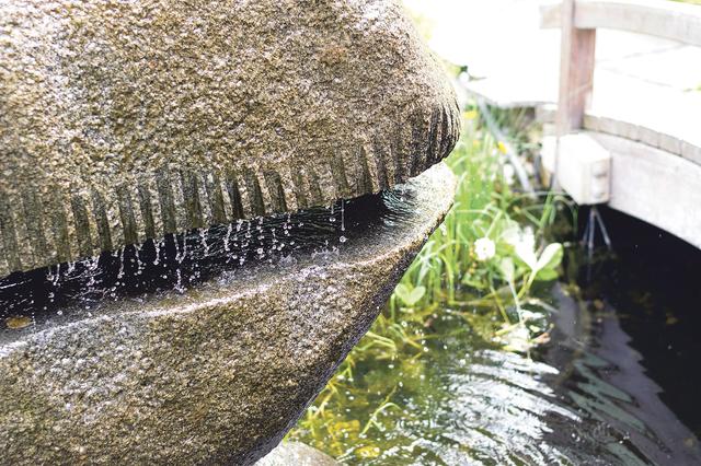 Im Kräutergarten im Stift Geras rinnt und tropft unablässig Wasser über einen großen Granitstein. | Foto: Markus Andorf