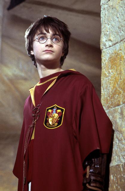 Harry Potter und die Kammer des Schreclens (Film auf DVD erhältlich)