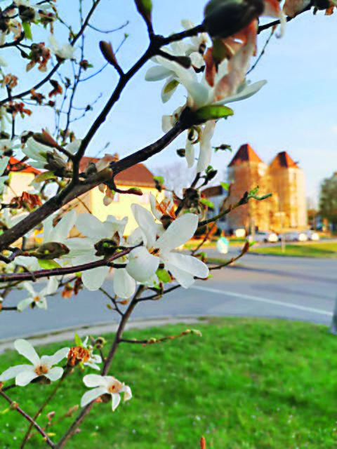 Pfarrkirche Gmünd-Neustadt. | Foto: Thomas Binder
