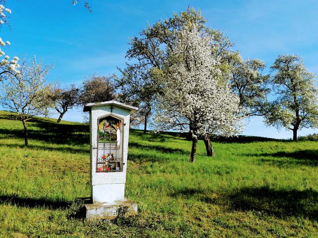 Kapelle in Eisenreichdornach bei Amstetten. Vor 75 Jahren wurden an dieser Stelle Dutzende KZ-Häftlinge getötet. Die Pfare Amstetten Herz Jesu und die Stadtgemeinde Amstetten gerdenken ihrer jedes Jahr. | Foto: Günther Sterilke