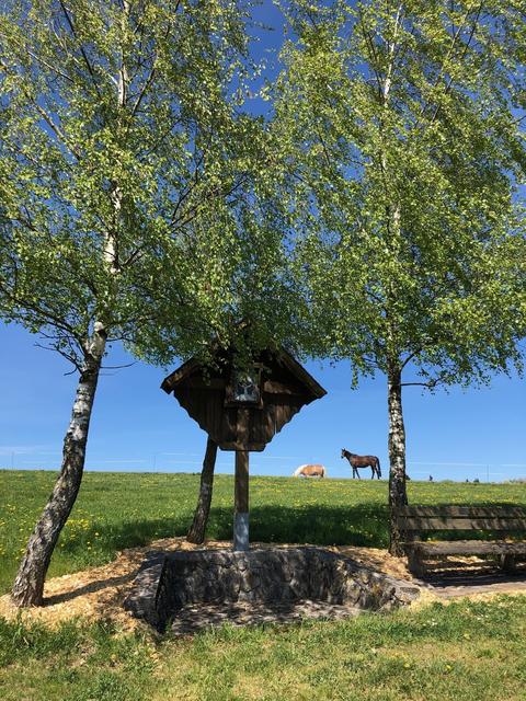 Kreuz in der Pfarre Oed. | Foto: Anna Rosenberger