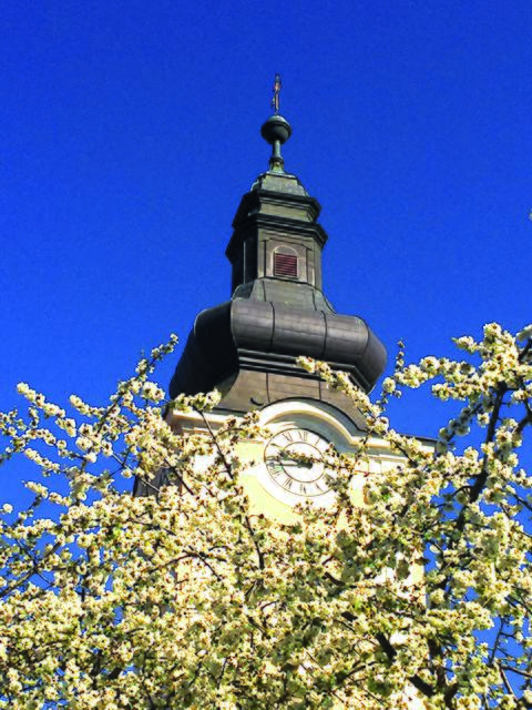 Pfarrkirche von Mautern. | Foto: Pater Clemens Reischl.