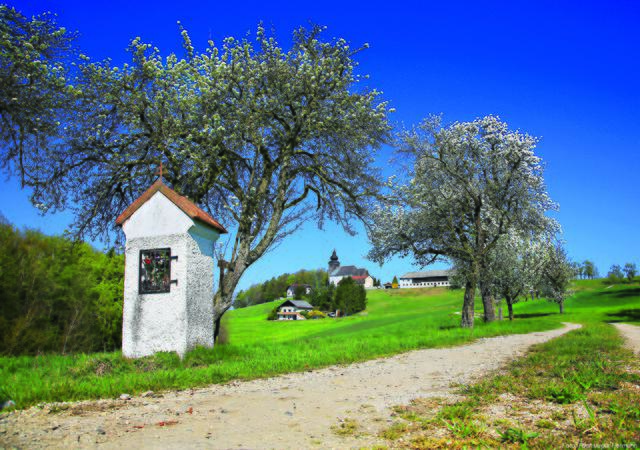 Im Hintergrund: die Filialkirche St. Veit in Neuhofen/Ybbs. | Foto: Hermann Fuchsluger