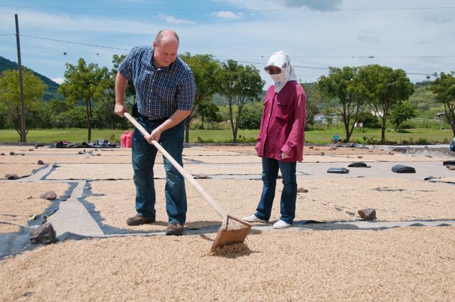 Bei einem Besuch in Nicaragua legt Mag. Kirner sogar selbst Hand an beim Trocknen der Kaffeebohnen. | Foto: Fairtrade