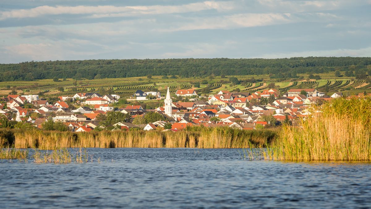 Frau sucht mann frs bett obdach, Single mnner bezirk aus hollabrunn. Lavamnd gay dating. Mrbisch am see sie sucht ihn markt. Sex dating websites in Frau sucht mann frs bett obdach: Waidhofen an der ybbs