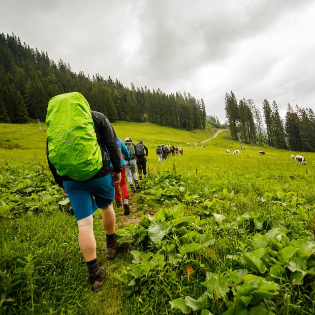 Foto: Gerd Neuhold - Sonntagsblatt für Steiermark