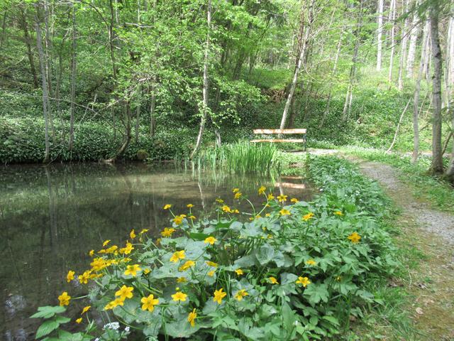 „Weg der Sinne - Weg der Stille“ in St. Gerold. | Foto: Ganahl