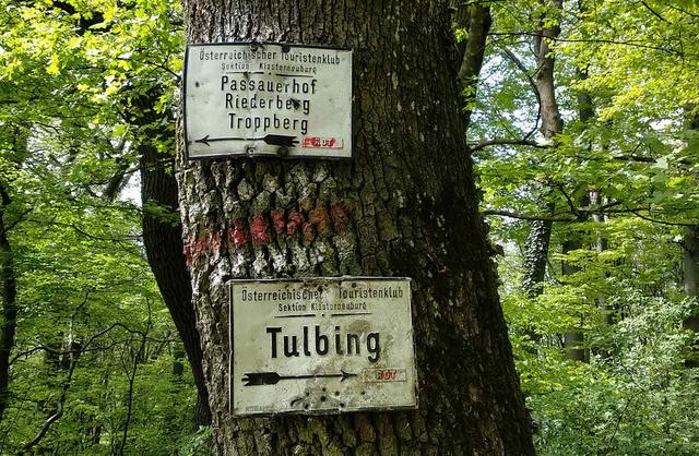 Foto: Andrea Harringer