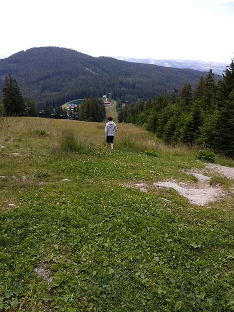 Blick von unten auf die Berstation der Erlebnisalm. | Foto: Andrea Harringer