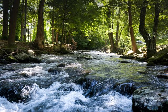 Wasser ist die Quelle des Lebens und kann zugleich eine zerstörerische Kraft entwickeln. An unsere Verantwortung, mit diesem „Wunder des Lebens“ sorgsam umzugehen, will uns die „Schöpfungszeit“ von 1. September bis 4. Oktober erinnern. | Foto: unsplash