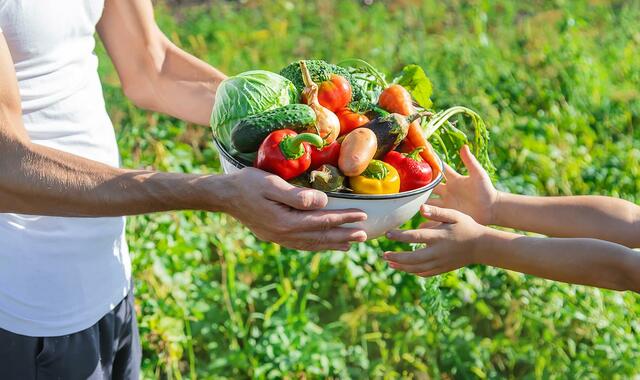 Bunt und reich an Früchten ist der Herbst. Er lädt uns ein, mit anderen zu teilen. | Foto: iStock/Yana Tatevosian