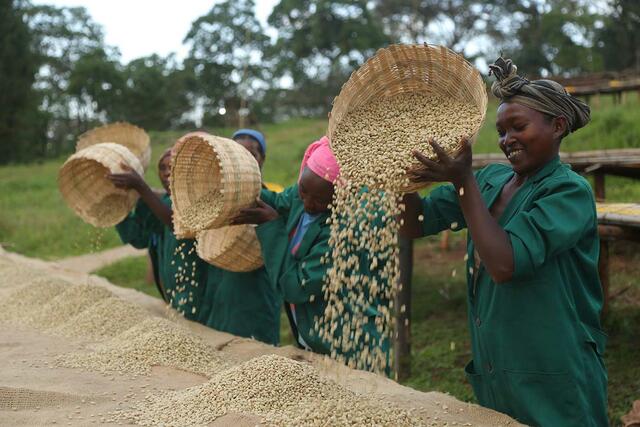 Foto: Fairtrade Österreich/ TransFair e.V