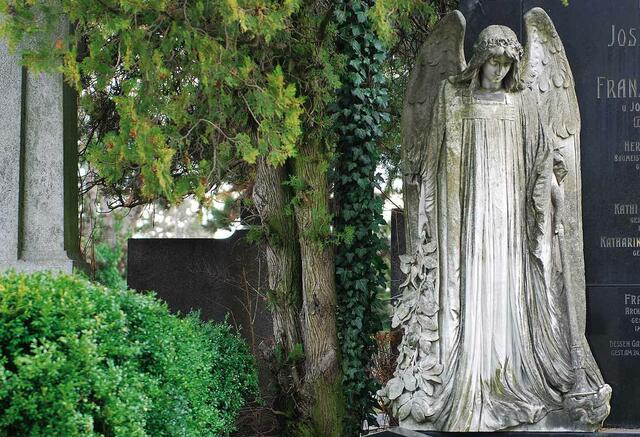 Foto: Gerd W. Götzenbrucker