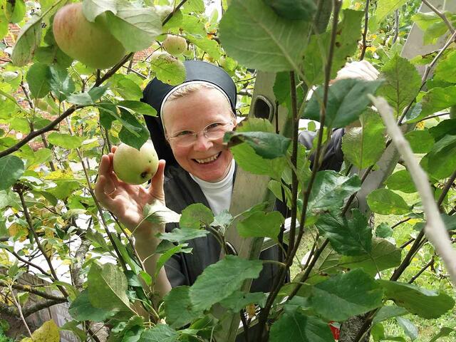 Sr. Anna Pointinger freut sich über die reiche Ernte. | Foto: Marienschwestern
