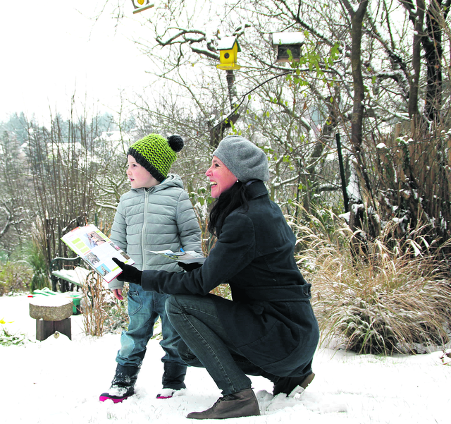 Foto: Bird life, Eggenberger