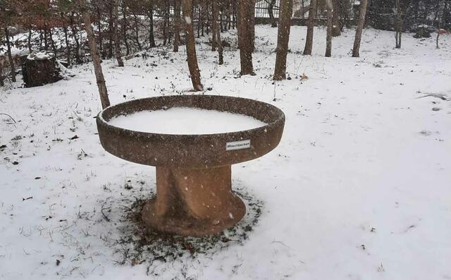 Foto: P. Mitterhöfer