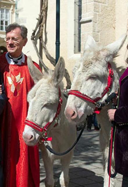 Pfarrer Abrahamowicz mit den zwei Barockeseln Lisa und Lottchen. | Foto: Pfarre