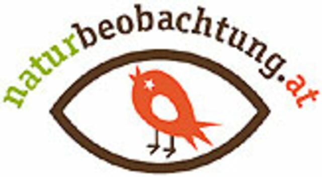Foto: www.naturbeobachtung.at