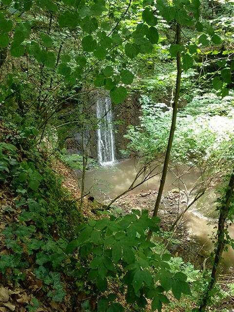 Ein Spaziergang in der Hagenbachklamm ist besonders an einem heißen Sommertag zu empfehlen. | Foto: aha