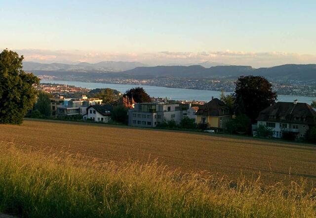 Blick auf den Zürichsee. | Foto: privat