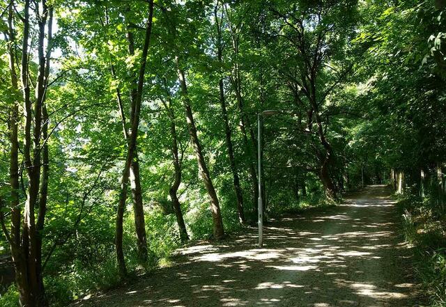 Foto: Andrea Harringer