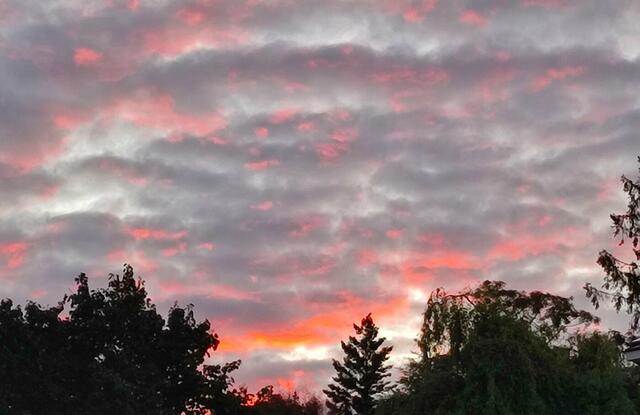 Foto: Andrea Harringer