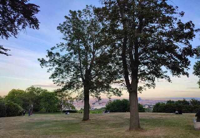 Foto: Andrea Harringer