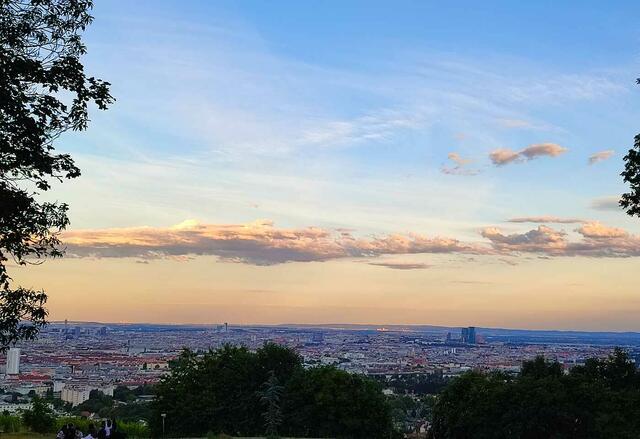 Foto: Andrea Harringer