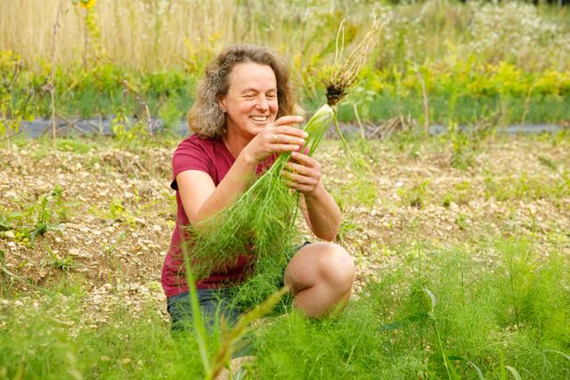 Am Jaklhof ernten Anna Ambrosch und ihr Team von Februar bis Dezember saisonales Gemüse und Kräuter. Der Fenchel ist reif.