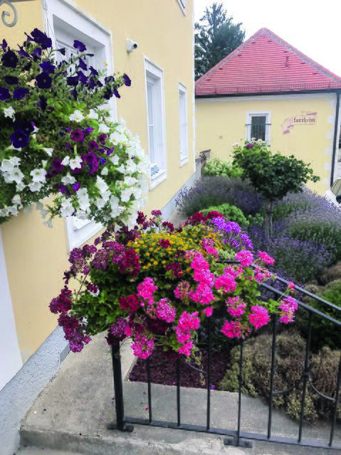 Bienenfreundliche Blumenpracht im Vorgarten der Pfarre Abstetten. | Foto: zVg