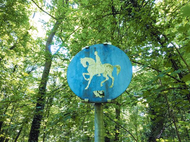 Mehrere Reitställe gibt es hier am Rande des Grünen Praters und die Weite der Wälder und Wege hier wird offensichtlich zum Ausreiten genutzt. Sogar eigene Verkehrsschilder gibt es hier, die darauf hinweisen, dass hier auch mit Reitern zu rechnen ist. | Foto: Andrea Harringer