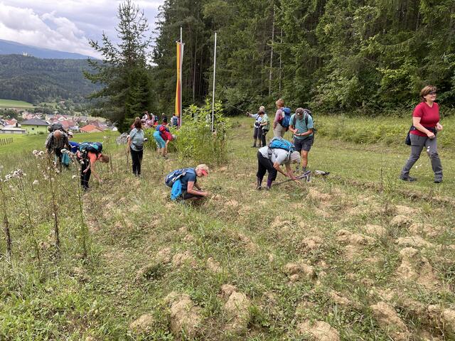 Als letztes Ziel lockt das Feld der steinernen Linsen zum Sammeln. | Foto: Carina Müller