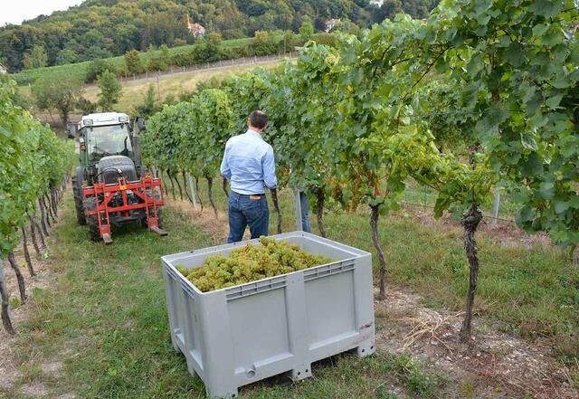Foto: Stift Klosterneuburg