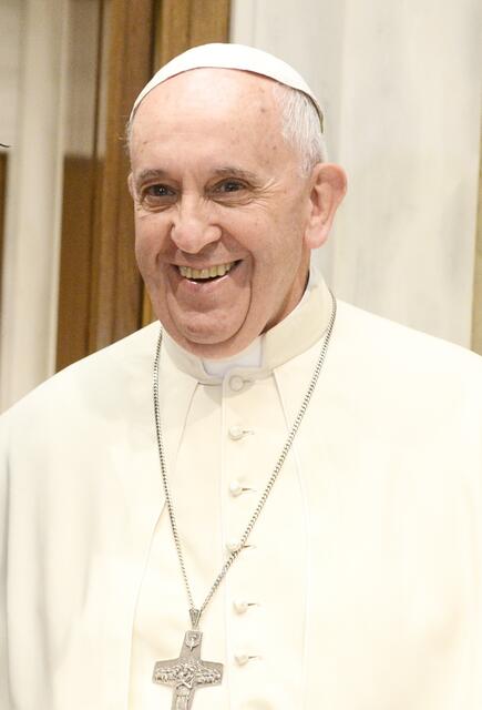 Papst Franziskus ruft zum Welttag der Kranken, am 11. Februar, dazu auf, Kranke zu besuchen.  | Foto: Archiv
