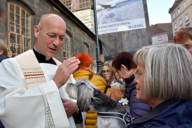 Am 4. Oktober, dem Gedenktag des heiligen Franz von Assisi und zugleich Welttierschutztag, segnet seit vielen Jahren Dompfarrer Toni Faber Tiere und ihren menschlichen Begleiter vor dem Stephansdom. Und die Zwei- und Vierbeiner kommen in Scharen. | Foto: Markus A. Langer