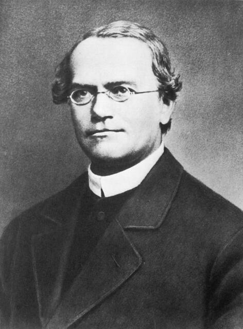 Gregor Johann Mendel (1822–1884) beeindruckt auch als Ordensmann. | Foto: Public Domain