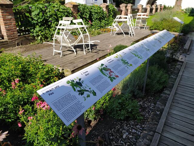 Im Garten des Mendel-Museums in Brünn werden Mendels Experimente anschaulich gemacht. | Foto: Mendel-Museum Brünn