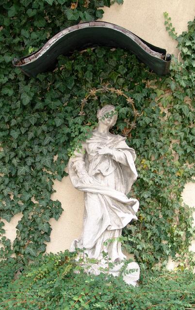 Die Immaculata in St. Jakob in Purkersdorf ist von Efeu umwuchert. | Foto: St. Jakob in Purkersdorf