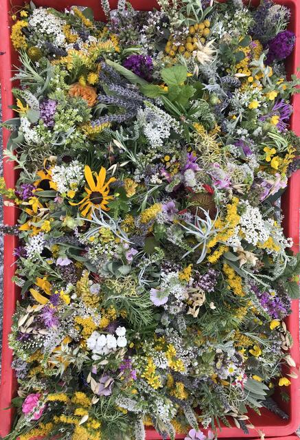 Blütenmeer. Die nördliche Oststeiermark  kleidete sich in Blütenpracht – darüber freuten sich auch die Kräuterbuschenbinderinnen in Pöllau. | Foto: Gerlinde Kothgasser