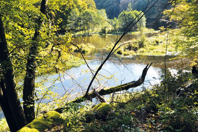 Der Kamp mit Aulandschaft. | Foto: Franz Wille, www.franzwille.jimdofree.com