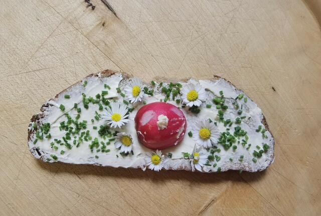 Gänseblümchenbrot | Foto: P. Pausch