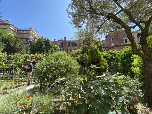 Venedig. Der Überraschungsgarten führt uns zu den Dominikanerinnen. 