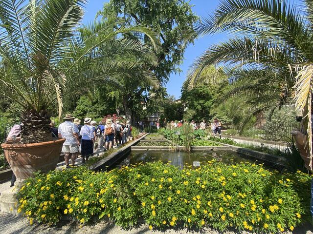 Padua. Im botanischen Garten von Padua kann man bis zu 6000 Pflanzenarten finden.
