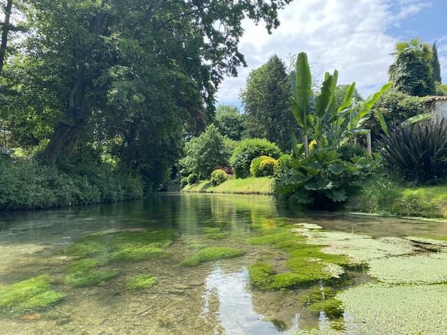 Strassoldo. Das Herzstück des Castello di Strassoldo bildet der italienische Renaissancegarten. Rosen, Palmen und kanadische Bäume sind hier zu finden.