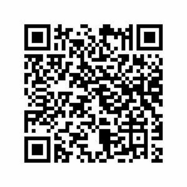 Wunder Natur – mit Babys den Wald entdecken