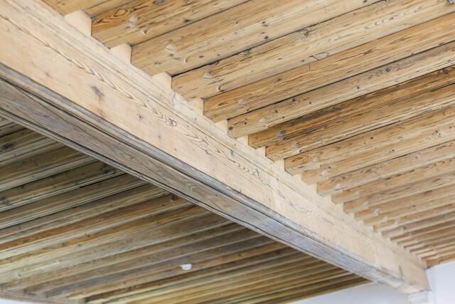 Foto: Gerd Neuhold - Sonntagsblatt für Steiermark